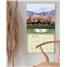 Woodland 2026 Wall Calendar WCA101530